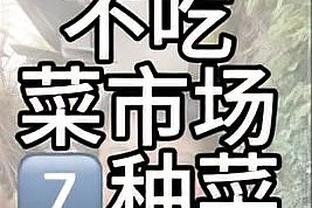 开云app在线登录官网下载安卓